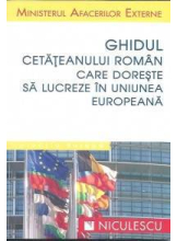 Ghidul cetateanului roman care doreste sa lucreze in Uniunea Europeana
