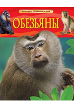 Детская энциклопедия Обезьяны