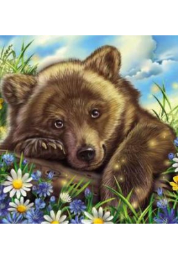 Милые зверята: Медвежонок