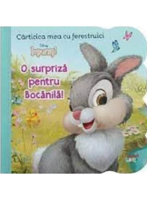 DISNEY IEPURASI. CARTICICA MEA CU FERESTRUICI. O SURPRIZA PENTRU BOCANILA!