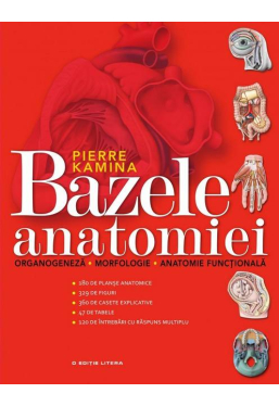 Bazele anatomiei