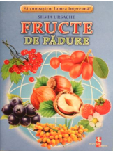 Fructe de padure fise