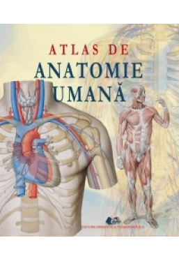 Atlas de anatomie umana 