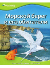 Морской берег и его обитатели / Discovery Education