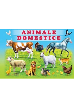 Animale domestice/carton