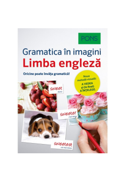Limba engleza Gramatica in imagini Pons