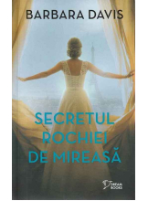 Dream Books. SECRETUL ROCHIEI DE MIREASA. 