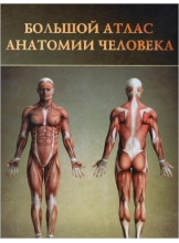 Болышой атлас анатомии человека