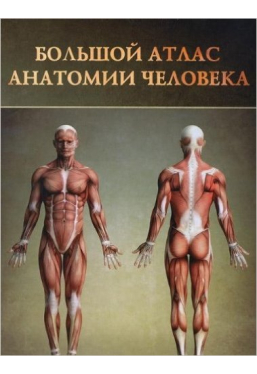 Болышой атлас анатомии человека