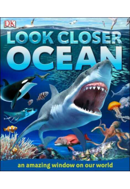 Look Closer Ocean - English version